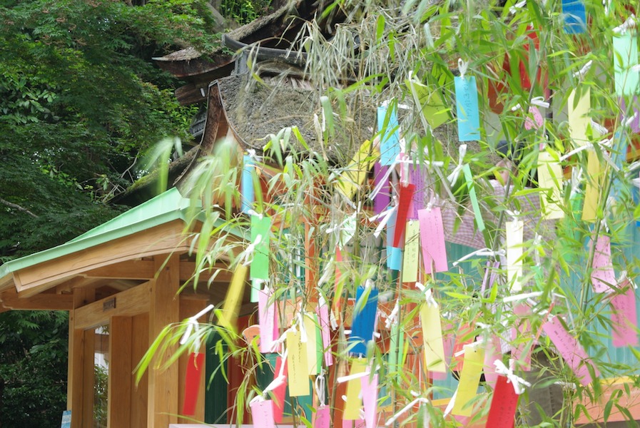 tanzaku